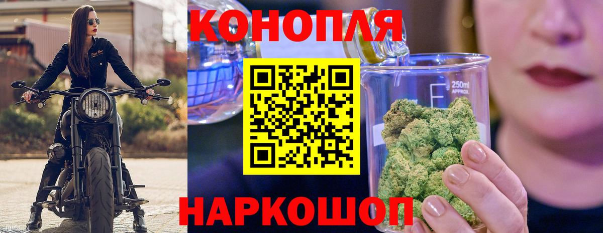 Каннабис конопля Малоярославец